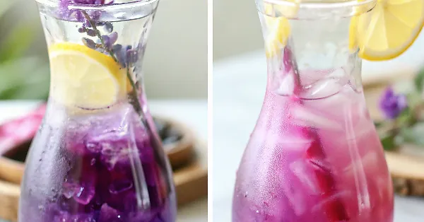 Perfect Butterfly Pea Flower Lavender Lemonade