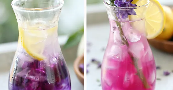 d 03HhpG1 vsr75IDLHon image 1777331814