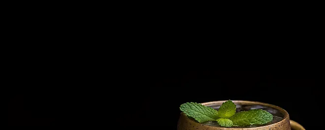 Perfect Sweet Lemon and Mint Moscow Mule